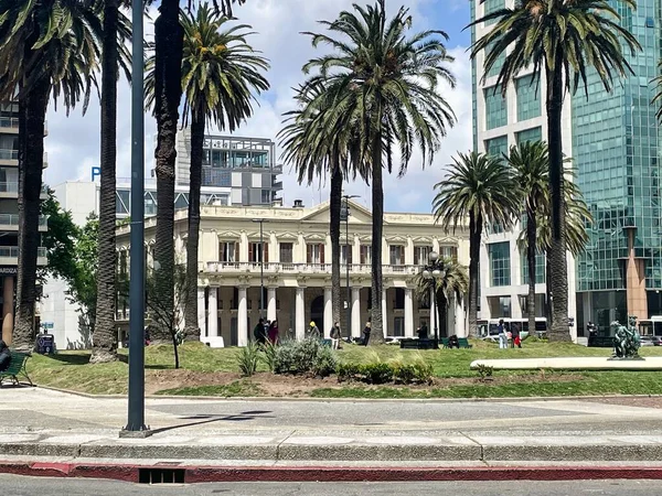 Montevideo Uruguay 2022 야자나무와 대통령 집무실 무소속 Cncia 광장에 스페인 — 스톡 사진