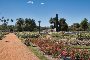 Buenos aires, Arjantin - 27 Ekim 2022: Rosendal de Palermo botanik parkında geniş çakıl yolları, sıraları ve kırmızı gülleri olan insanlar