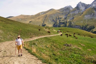 a hiker with stick is walking on a mountain trail high in the mountains