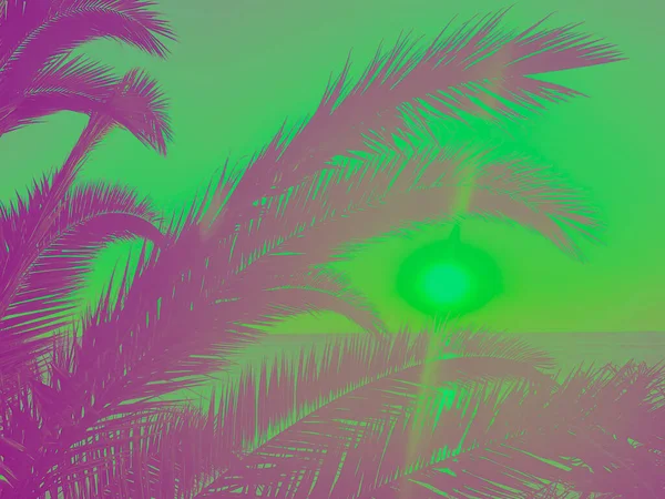 Idyllic Tropical Sunset Palm Trees Ocean — Stockfoto