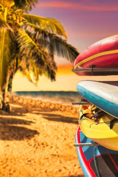 Surfování Desky Racku Tropické Pláže Palmami — Stock fotografie