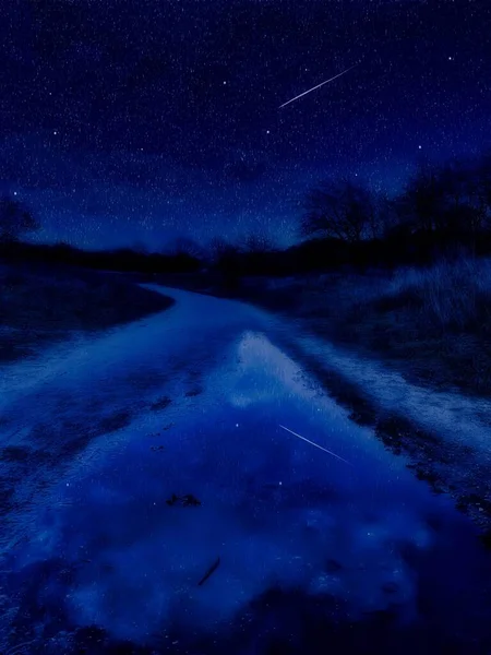 Composition Reflection Night Clear Sky Shooting Star Visible Pond Water — Stock Photo, Image