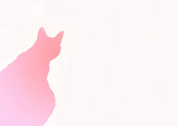 Силуетний Кіт Дивиться Рожевим Тлом — стокове фото