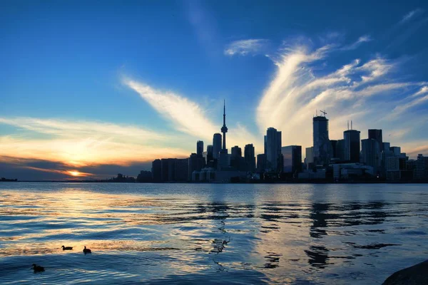 Toronto Canada October 2022 Skycrapers Forming Skyline City Toronto Tower — Stock Photo, Image