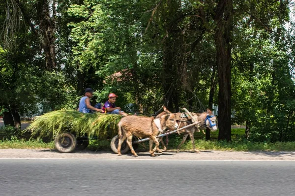 Almaty Cazaquistão Junho 2017 Carrinho Cavalo Carruagem Lado Dos Principais — Fotografia de Stock