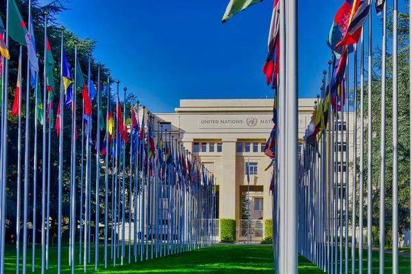 Geneva Szwajcaria Września 2022 Flagi Narodowe Państw Członkowskich Poza Pałacem — Zdjęcie stockowe