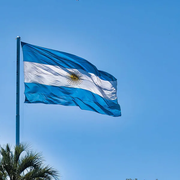 Den Nationella Blå Vit Flagga Argentina Med Gul Stolpe Bly — Stockfoto