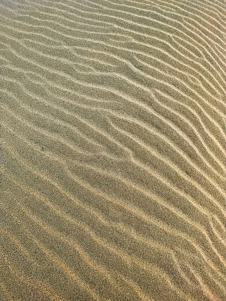 Písek Suché Pláži Vytvořené Větrem Ukazující Vlnky — Stock fotografie