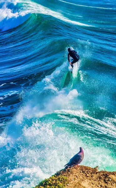 美国圣克鲁斯 2013年1月27日 冲浪资本离开美国 只有最勇敢的冲浪者才敢乘风破浪 — 图库照片