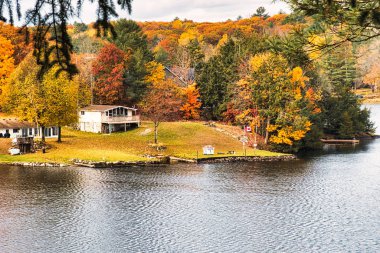 kawartha lakes, canada - 20 October 2022: a cabin on the shore of a small lake in the kawartha lakes region in fall colors
