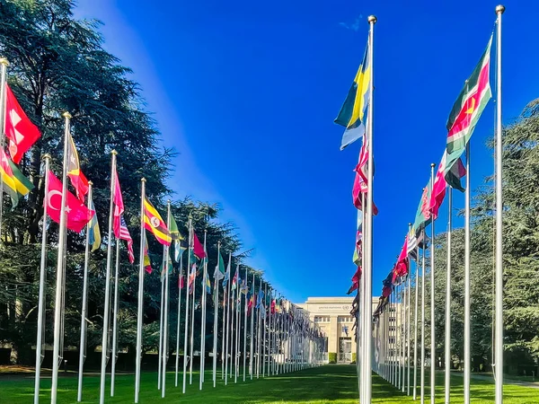 Geneva Szwajcaria Września 2022 Flagi Narodowe Państw Członkowskich Poza Pałacem — Zdjęcie stockowe