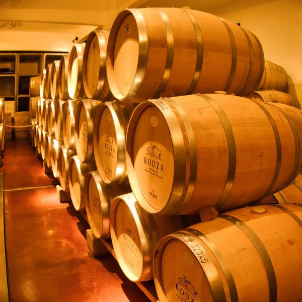 Монтевидео Уругвай Октября 2022 Года Вино Отдыхает Бочках Деревянного Дуба — стоковое фото