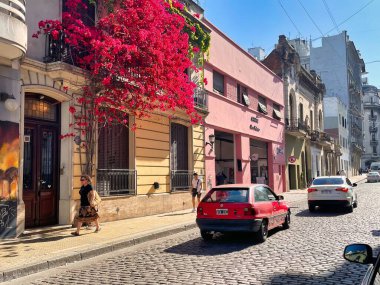 buenos aires, argentina - 29 October 2022 : a red bougainvillea flower tree covering a facade of a spanish colonial house