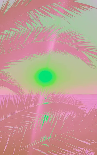 Idyllic Tropical Sunset Palm Trees Ocean — Fotografia de Stock