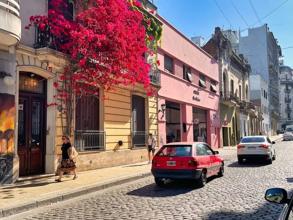 ブエノスアイレス アルゼンチン 10月2022 スペインの植民地時代の家のファサードを覆う赤いブーゲンビリアの花の木 — ストック写真