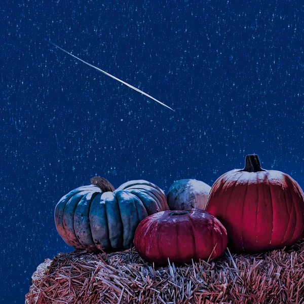 Halloween Thanksgiving Pumpkins Straw Shooting Star Night Sky — Stock Photo, Image