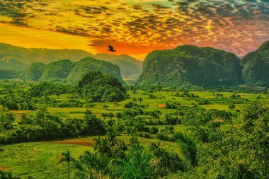 UNESCO 'nun dünya mirası Vinales Vadisi, yemyeşil doğa mogotları ve günbatımı gökyüzü.