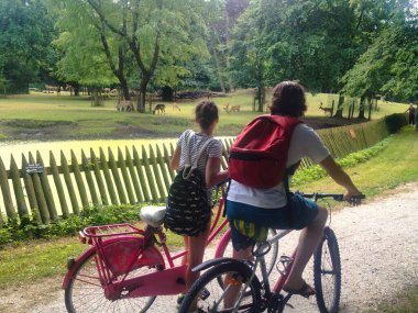 Hague, Hollanda - Ağustos 02 2014: İki kişi parkta bisiklet sürüyor ve geyikleri izliyorlar