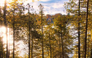 Kanada dağ gölü etrafındaki orman ağaçlarının arasından sihirli ışık