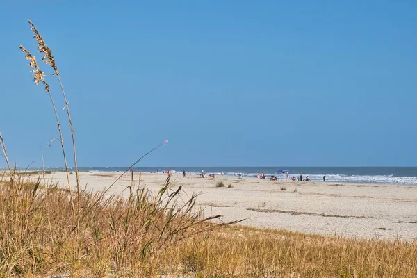 美国查尔斯顿 2022年11月5日 一个开放的海滩景观 人们可以在沙丘上观赏大海和阳光 — 图库照片