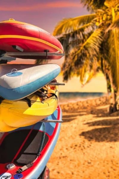 Surfování Desky Racku Tropické Pláže Palmami — Stock fotografie