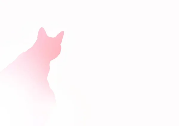 Silueta Růžová Kočka Zírá Bílým Pozadím — Stock fotografie