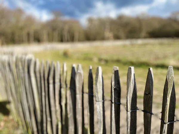 Close Wooden Picket Fence Countryside Field — Stock Photo, Image