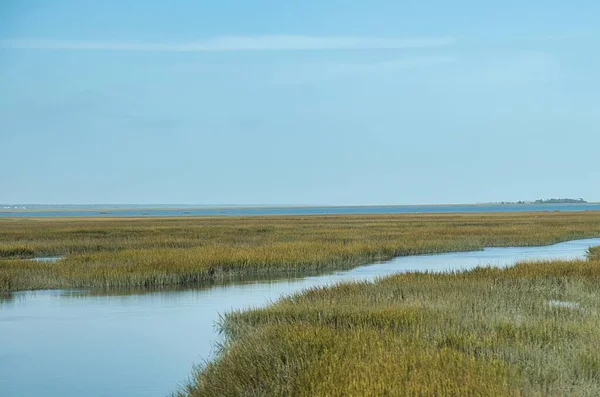Charleston Vereinigte Staaten November 2022 Ein Fluss Fließt Durch Einen — Stockfoto