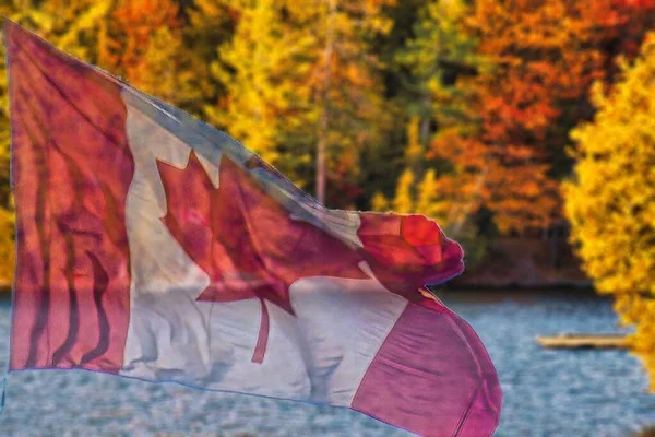 Een Meer Het Midden Van Een Canadees Herfstbos Met Gele — Stockfoto