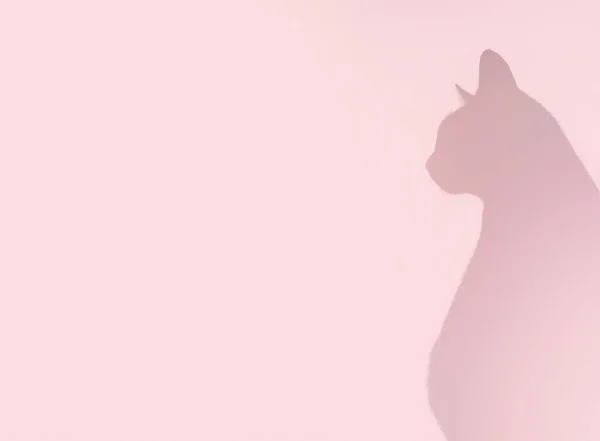 Siluetli Kedi Pembe Arka Planda Bakıyor — Stok fotoğraf