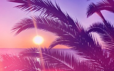 idyllic tropical sunset with palm trees and ocean