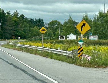 Port Perry, Kanada - 30 Ağustos 2023: Kaplumbağalar için yol boyunca bir işaret 