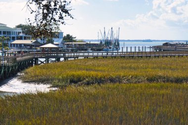Charleston, Amerika Birleşik Devletleri - Kasım 7 2022: Nehirde uzun bir bataklık ve pelikan tekneleri