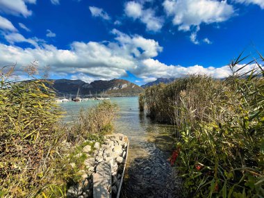 Sevrier, Fransa - 22 Ekim 2021: Haute Savoie Alpine Gölü 'nün kıyı şeridi boyunca kamış büyüyor.