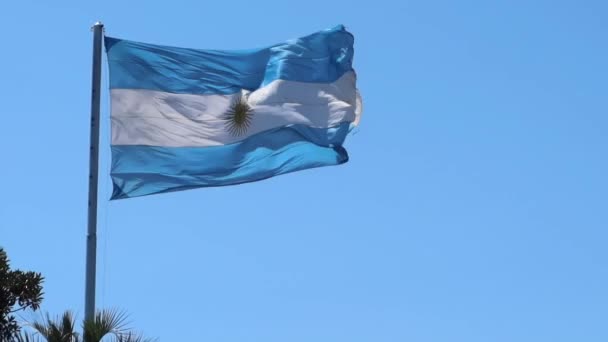 Национальный Голубой Белый Флаг Аргентины Желтым Шесте Голубом Небе — стоковое видео