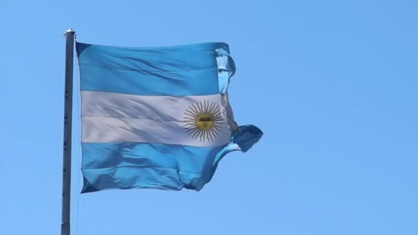 Национальный Голубой Белый Флаг Аргентины Желтым Шесте Светлом Небе — стоковое видео