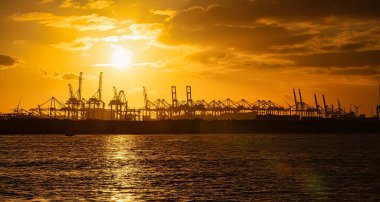 Rotterdam, Hollanda - 22 Kasım 2021: Limandaki gemilerin konteynırlarını boşaltmak için devasa yarıdan ve tamamen otomatik vinçlerden oluşan hatlar