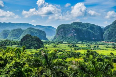 Viales, Küba - 10 Temmuz 2018: Viales Vadisi manzarası. Tropikal ve neredeyse bir yağmur ormanı. Aynı isimde bir milli parkın içinde. Palmiye ağaçları etkileyici bir aşırı gelişmiş manzara.