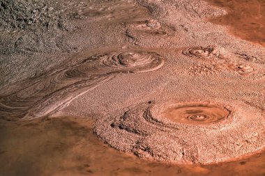 Yeni Zelanda, Rotorua - 28 Eylül 2009: Rotorua çevresindeki volkanik faaliyetler nedeniyle jeotermal sıcak çamur banyosu