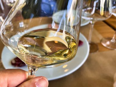 Montevideo, uruguay - 31 Ekim 2022: Şarap tatma ve zarif bardaktaki şarabı inceleme