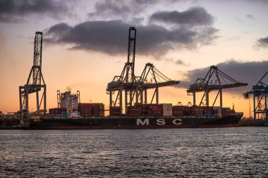 Rotterdam, Hollanda - 22 Kasım 2021: Güverte gemisindeki konteynırları boşaltmak için devasa yarıdan ve tamamen otomatik vinçlerden oluşan hatlar