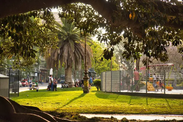 Buenos Aires Argentine Octobre 2022 Palmiers Herbe Personnes Autour Une Photos De Stock Libres De Droits