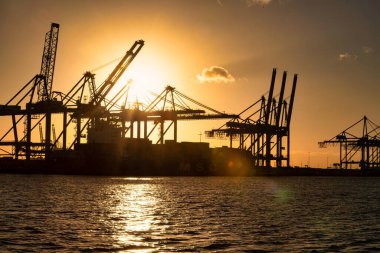 Rotterdam, Hollanda - 22 Kasım 2021: Limandaki gemilerin konteynırlarını boşaltmak için devasa yarıdan ve tamamen otomatik vinçlerden oluşan hatlar