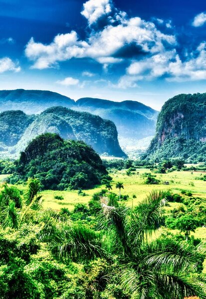 Vinales, Cuba - July 10 2018 : A view of the valley of Vinales. Tropical and almost a rain forest. Located within a national park with the same name. Palm trees an impressive landscape of overgrown