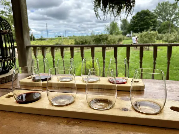 Port Perry, Kanada - 13 Ağustos 2023: Kırsal kesimdeki şarap tadımı sırasında şarap kadehlerinin uçuşu