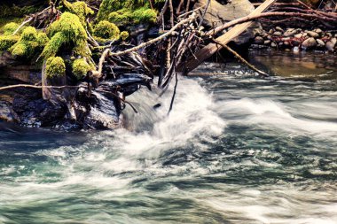 Garberville, ABD - 15 Şubat 2020: Sekoya ormanlarında şelaleli hızlı ve berrak suyu olan küçük bir dere veya nehir