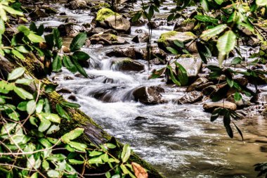 Garberville, ABD - 15 Şubat 2020: Sekoya ormanlarında şelaleli hızlı ve berrak suyu olan küçük bir dere veya nehir