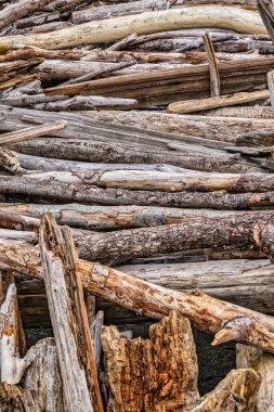 Mendocino, Amerika Birleşik Devletleri - 16 Şubat 2020: Sahilde kıyıya vuran kereste bir barınak ya da kulübe olarak kullanıldı ve yakından görüldü.