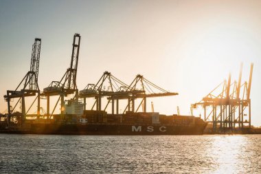 Rotterdam, Hollanda - 22 Kasım 2021: Limandaki gemilerin konteynırlarını boşaltmak için devasa yarıdan ve tamamen otomatik vinçlerden oluşan hatlar