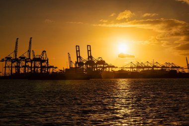 Rotterdam, Hollanda - 22 Kasım 2021: Limandaki gemilerin konteynırlarını boşaltmak için devasa yarıdan ve tamamen otomatik vinçlerden oluşan hatlar